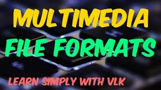 Multimedia File Formats | Chapter 1 - Multimedia |1.4 | XII STD CA 