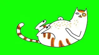 GREEN SCREEN CATS FREE FOR VIDEOS 113 - Green Screen Effects