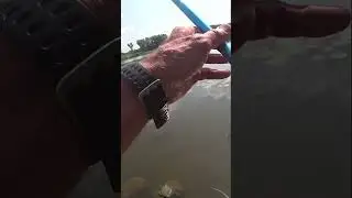 ДУША ПОЁТ от ТАКИХ РЫБОК.