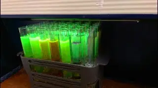 BODIPY chemistry: synthesis and properties