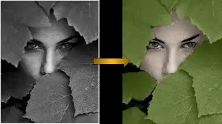 How to turn a Black and White picture into a colored picture | PhotoPea
