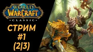 Впервые в World of Warcraft Classic | #1 (2/3) | Куда тут тыкать?