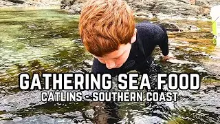 Are the Catlins Underwhelming? | Family Adventures @Papatowai