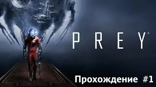 Запрейденая сложность! [Прохождение (высокая сложность), Prey #7.1]