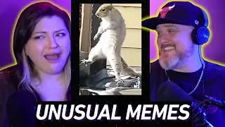 Reacting to UNUSUAL MEMES COMPILATION V358!