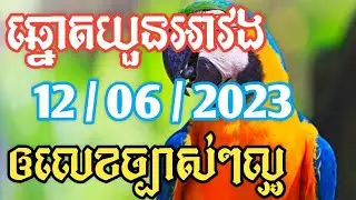 អាវងឆ្នោតចេញអី_តំរុយឆ្នោតយួនថ្ងៃទី 12/06/2023_Lucky today