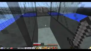 SweetFoal plays 
