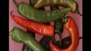 Sex shop OseToys (Piment)