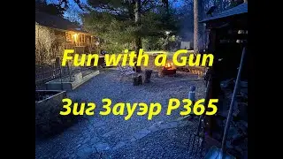Зиг Зауэр P365