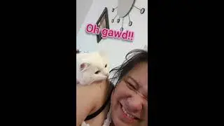 CATlebrity: CUTE CAT WANTS TO PLAY! BUT HOOMAN WANTS KISSES! WHO WON WHO??