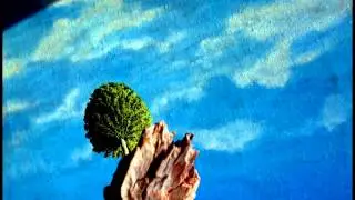 Christopher Hitchens: How do I know the earth is round?