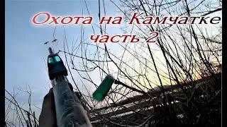 Part 2. Hunting in Kamchatka 2021! 