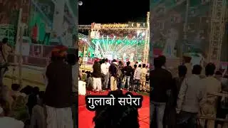 भारत की सुप्रसिद्ध नृत्यांगना || गुलाबो सपेरा (राजस्थान) 👌👌