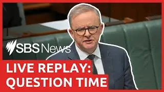IN FULL: Question Time in parliament over detainee policies, Hamas-Israel war, and domestic violence