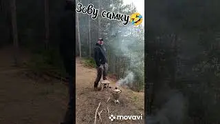 Живу как хочу
