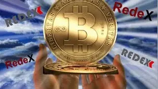 RedeX - Ваш Новый Ритм Жизни