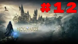 Hogwarts Legacy Playthrough Part 12- Vivarium/Astrology Class