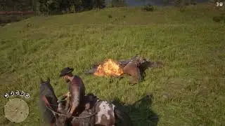 Red Dead Redemption 2 - Fire arrow