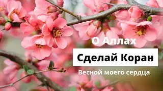 Дуа от грусти и переживаний. 4 основы удаляющие грусть и беспокойство из сердца.