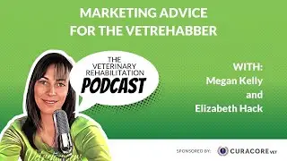 Marketing Advice for the Vetrehabber with Elizabeth Hack