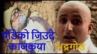 पाँडेको जिउदै काजकृया !! Bhadragol, Comedy Compiation (भद्रगोल)