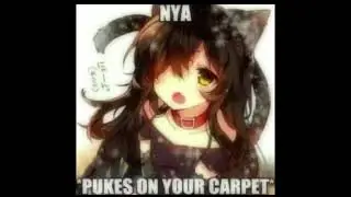 NYA pukes on carpet