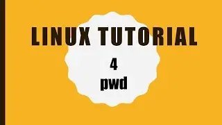 How to use pwd command in Linux