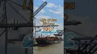 #086 Ship in USA 🇺🇸 #shorts #usa #youtube