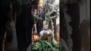 Pengantin di kasih kado ❌ Pengantin di kasih Domba ☑️ 🤣 #shorts #photography #makestoryphoto #viral