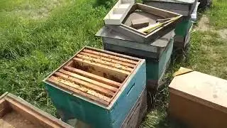 Мой метод  работы с пчёлами.