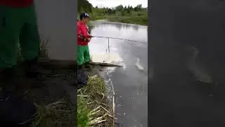 Щука сопротивлялась до последнего 🎣