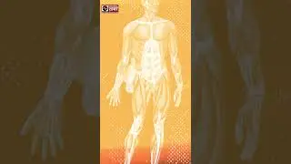 Nephrotic Syndrome का मिल गया सटीक इलाज