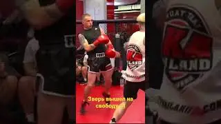 Эдвард Бил на свободе. Бой против Ершова.