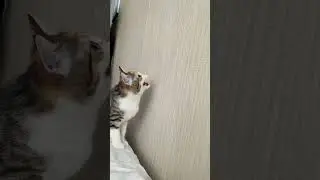 что она делает? матерится?