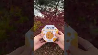В эфире самые самые новости  Знакомьтесь с новой упаковкой MOOZI