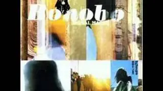 Funky Punk - Bonobo