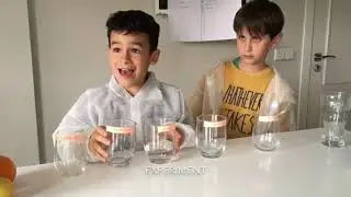 pH Scale