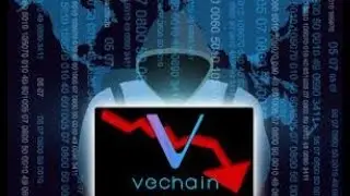 Vechain (VET)- is going to $0 (Warning to all holders)