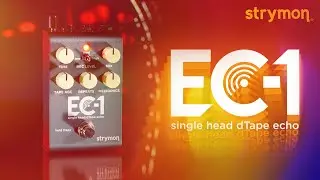 Strymon EC-1 Single Head dTape Echo