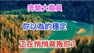 奔馳大裁員：你以為的穩定，正在悄悄背叛你,看看你的身邊是嗎#思維書屋#奔馳裁員#十點讀書