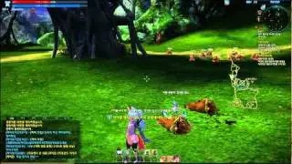 TERA Elin Warrior (Popori) vs Piglings