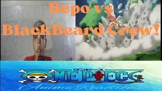 Bepo vs BlackBeard Pirates!