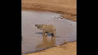 Kenya 19'