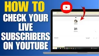 How to Check Your Live Subscribers on Youtube | Live Subscriber Count
