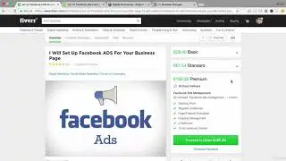 242  How to Start a Facebook Ads Business
