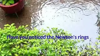 Newton's ring