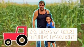 A DAY AT THE FARM