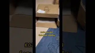 апартаменты😆 