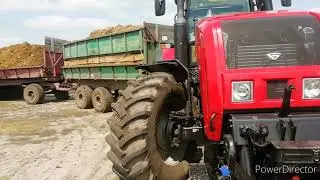 Перевозка сенажной массы на Мтз-3522!