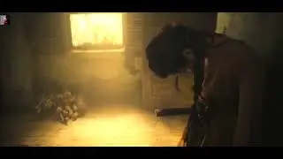 Chinese Villainess Stab